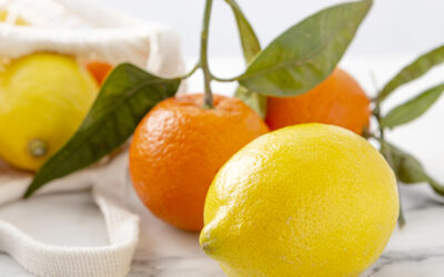 Color, frescura y nutrición al máximo