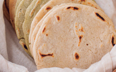 El sabor de nuestras raíces